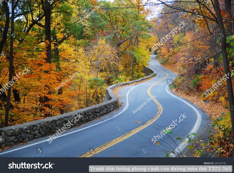 Tranh dán tường phong cảnh hồ thác, cây cối T321-558